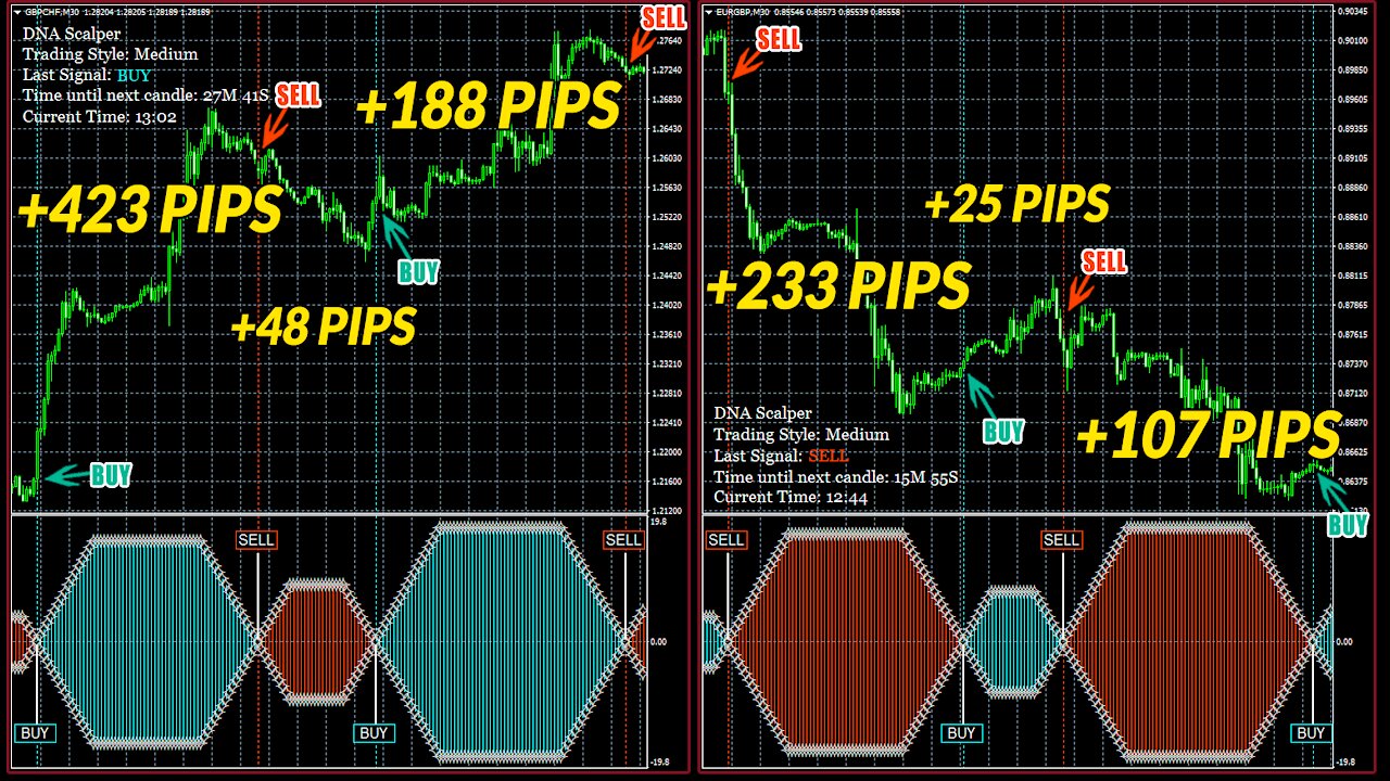 DNA Scalper - Highly Converting Forex Product