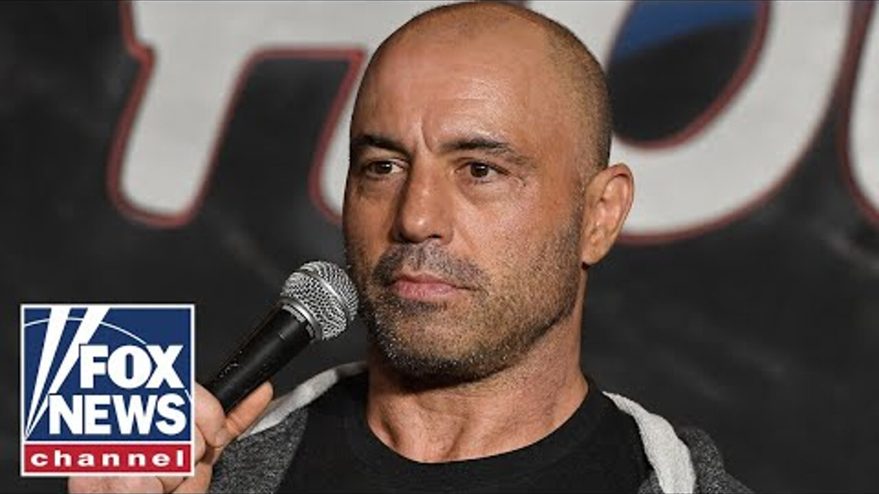 Joe Rogan praises Elon Musk: 'He's like a movie character' - Fox News