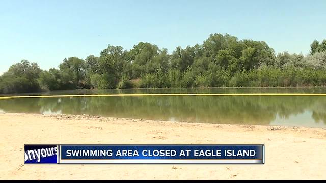 Recreation restricted after possibly harmful algae found at Eagle Island State Park