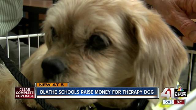 Olathe Public Schools to bring therapy dog to students