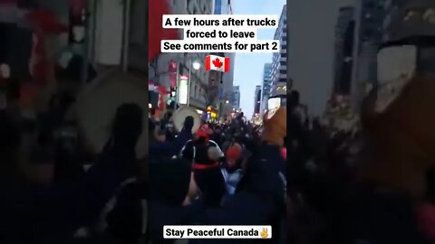 Freedom Convoy Is Peaceful Part 1 #shorts