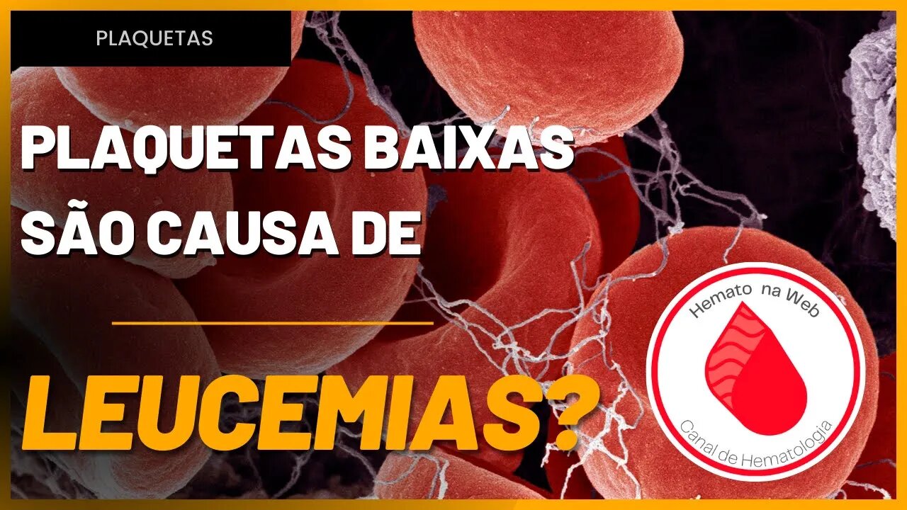 As verdadeiras causas de PLAQUETAS BAIXAS, você CONHECE? | Geydson Cruz [MD,MSc]