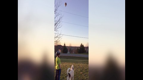 Dog Does NOT Trust Hot Air Balloon