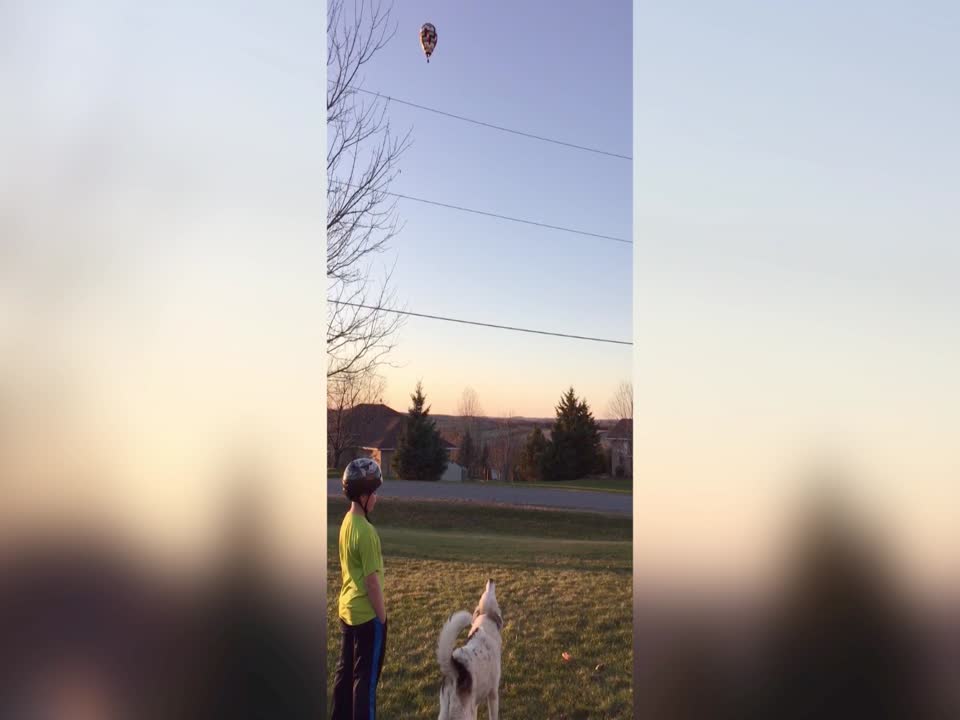 Dog Does NOT Trust Hot Air Balloon