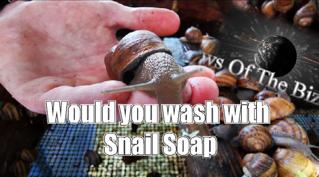 Would you wash with snail slime soap? News Of The Bizarre Quippets