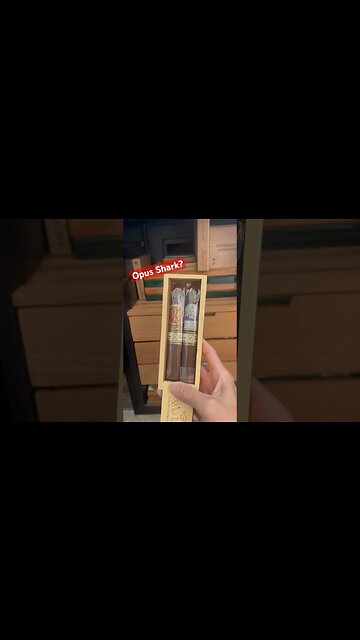 Which Shark Wins? 🦈 #cigar #cigars #shark #luxury