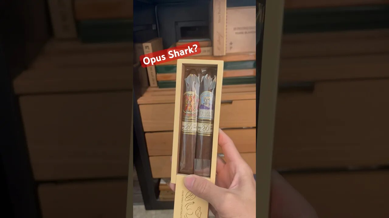 Which Shark Wins? 🦈 #cigar #cigars #shark #luxury