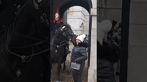 The Horse eating the tourist #thekingsguard