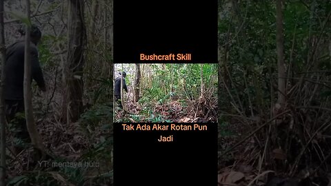 Bushcraft ( Toll Hacks ) #shorts #asmr #forest #survival #skills #outdoors