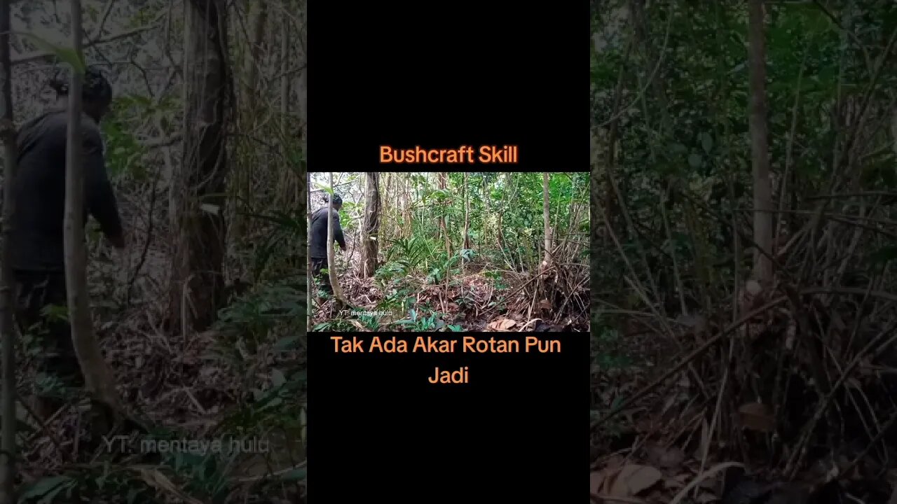 Bushcraft ( Toll Hacks ) #shorts #asmr #forest #survival #skills #outdoors