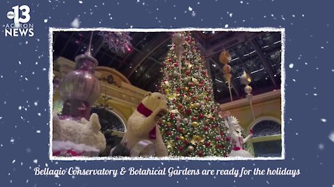 Bellagio Conservatory ready for the holidays