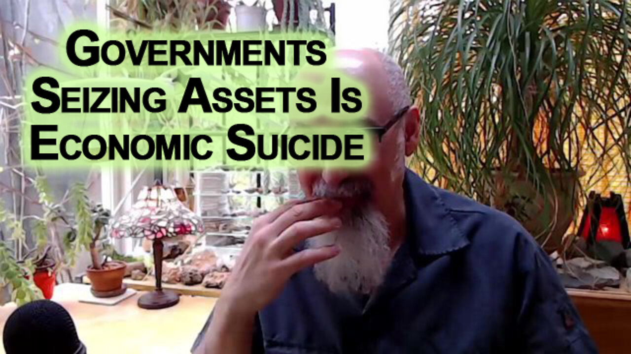 Western Governments Seizing Assets Is Economic Suicide, Collapse of Banking Institutions [ASMR]