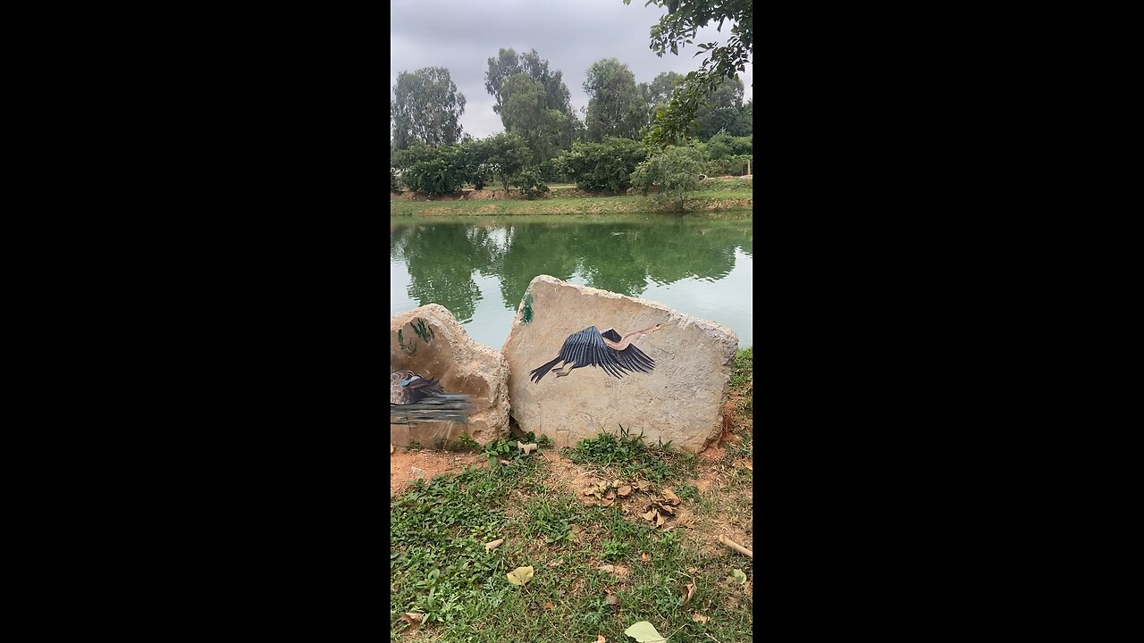 Bengaluru Lake