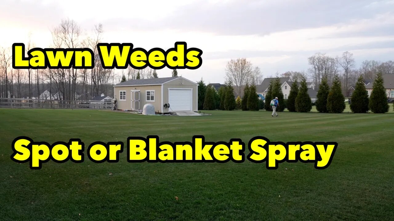 Difference Between Spot Spraying and Blanket Spraying Lawn Weeds