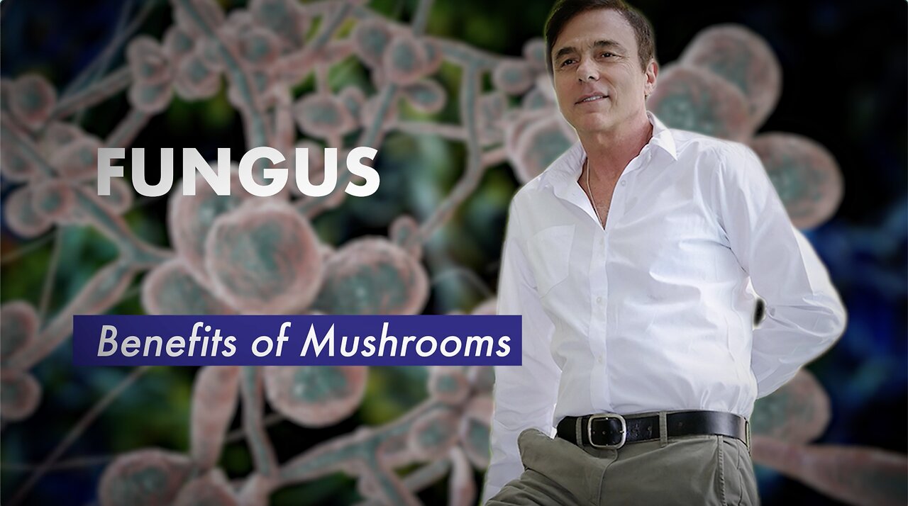 Fungus – Benefits of Mushrooms