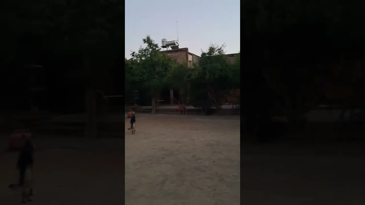 Chandelav Fort. पूरी स्टोरी का वीडियो जल्द #shorts #shortsvideo #rajasthankaitihas