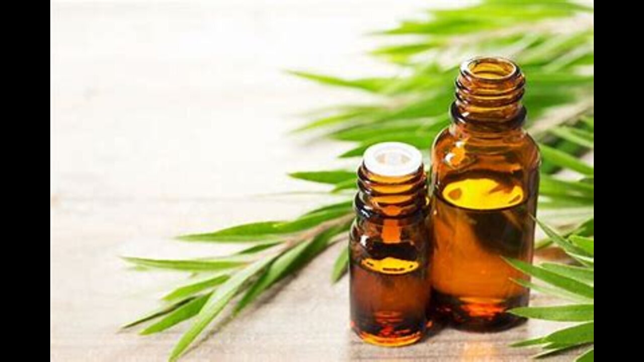 6 Uses for Tea Tree Oil
