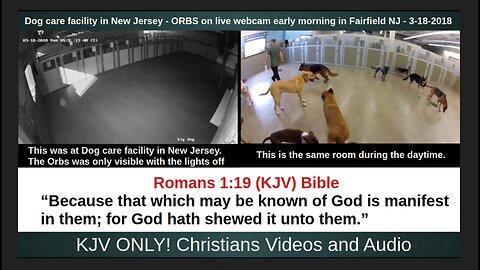 Dog care facility in New Jersey - ORBS on live webcam early morning in Fairfield NJ - 3-18-2018