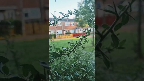 #veiws_viral_video_subscribers_grow #clip bedroom view just before sunset 🌇 enjoy