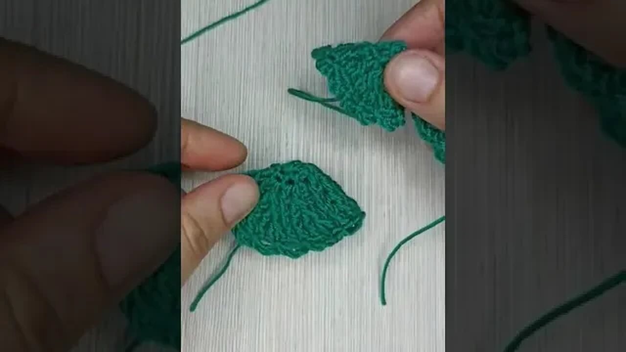 Collecting a Christmas tree1
