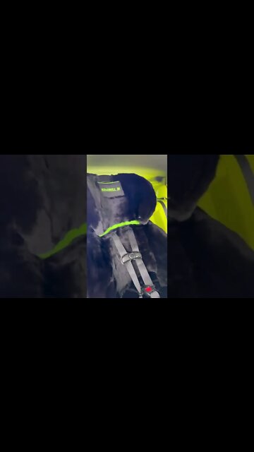 Floyd "Money" Mayweather drops $18K on custom mink fur-lined car seat to match his car for grandson