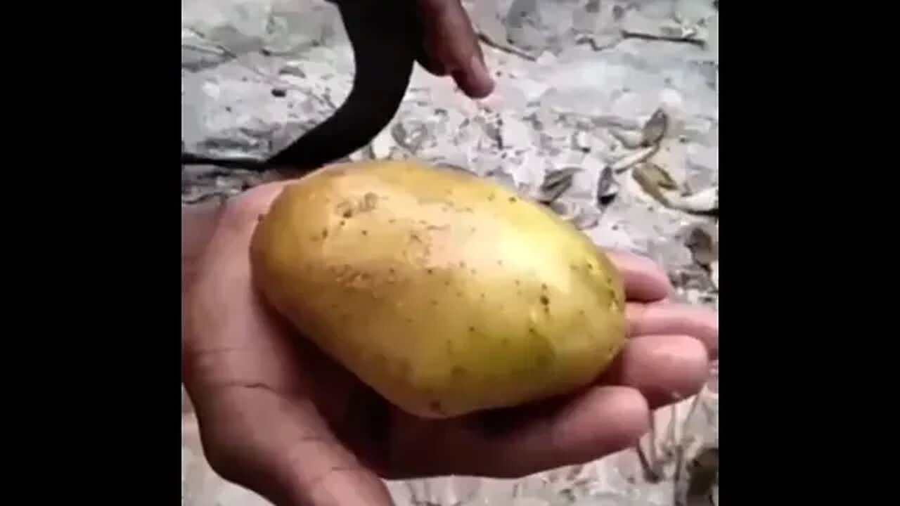 The Potato-Chopping Prodigy