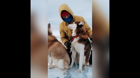 Petting a dog can do what?