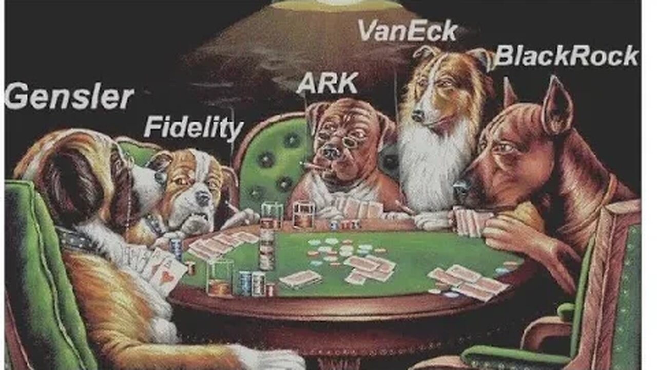 The Market is on the Moon 😎