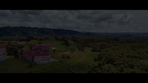 Limbang SMK Kubong Forest Aerial View (Height 100 meter) on