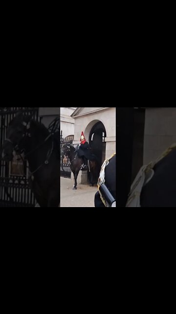 The kings guard winter coat #horseguardsparade