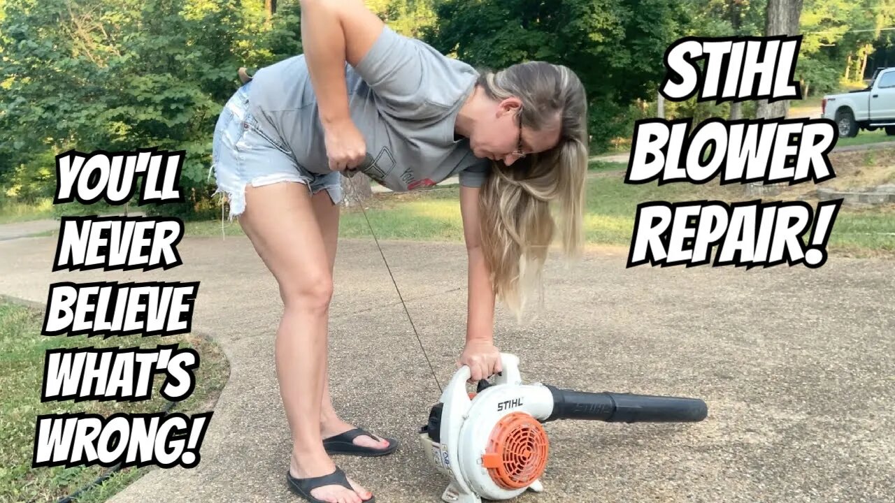 Stihl Blower's gas disappeared! Pull rope won't work? This small engine has issues! Repair/Vlog