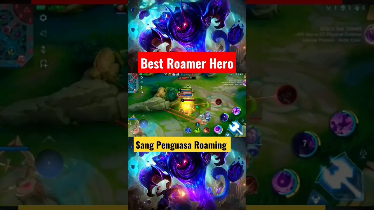 Best Hero Roamers Mobile Legends #razimaruyama #mobilelegends #mobilelegendsbangbang #gloo #gloowall