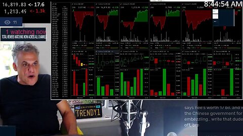 THE BEAR GOT CHASED OFF BY BEEZLE AND HES A HERO!