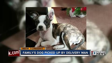 Las Vegas woman says dog was taken by medical delivery man