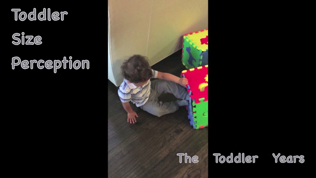 Toddler Size Perception