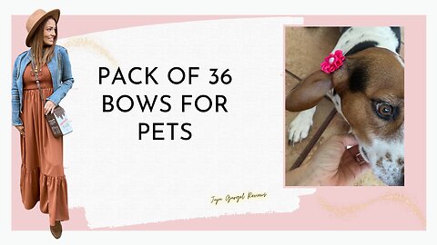 Pack of 36 bows for pets review