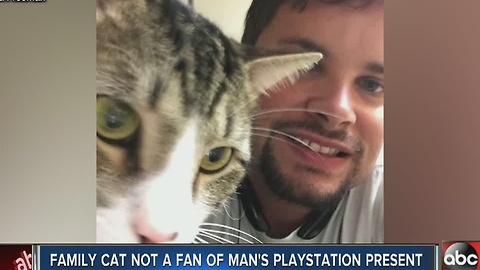 Family cat not a fan of man's Playstation present