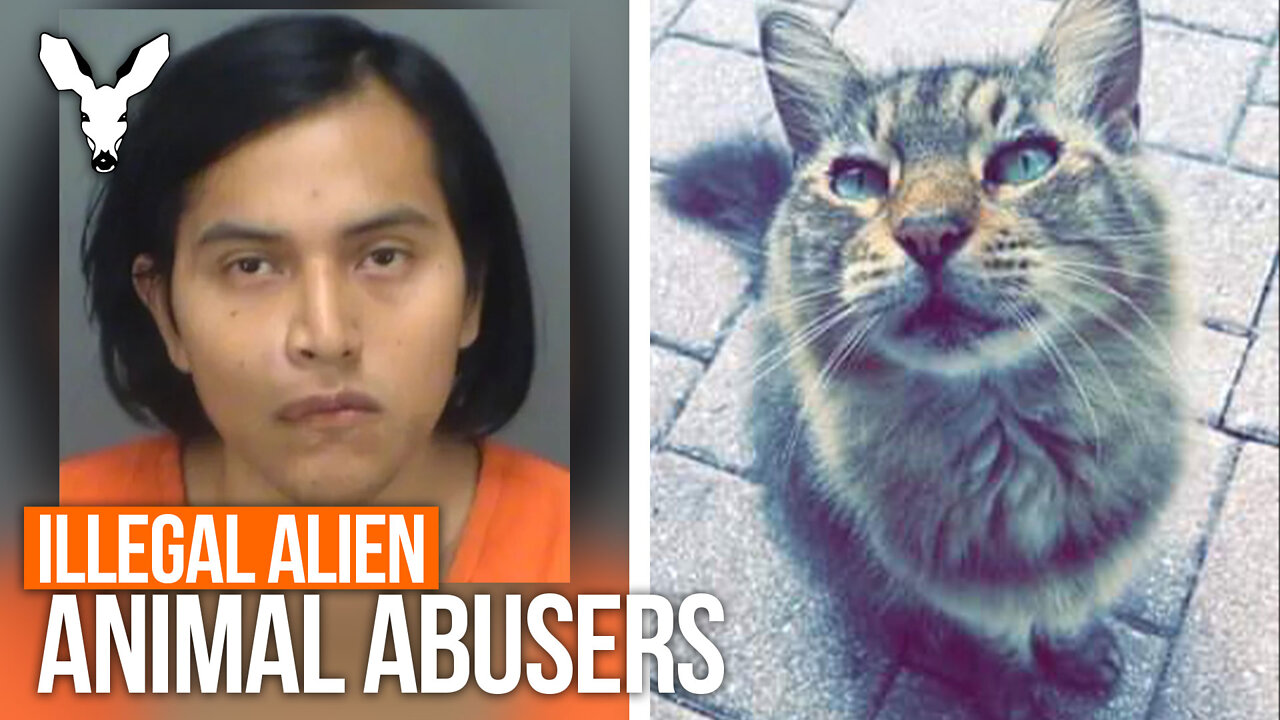 Illegal Alien Animal Abusers | VDARE Video Bulletin