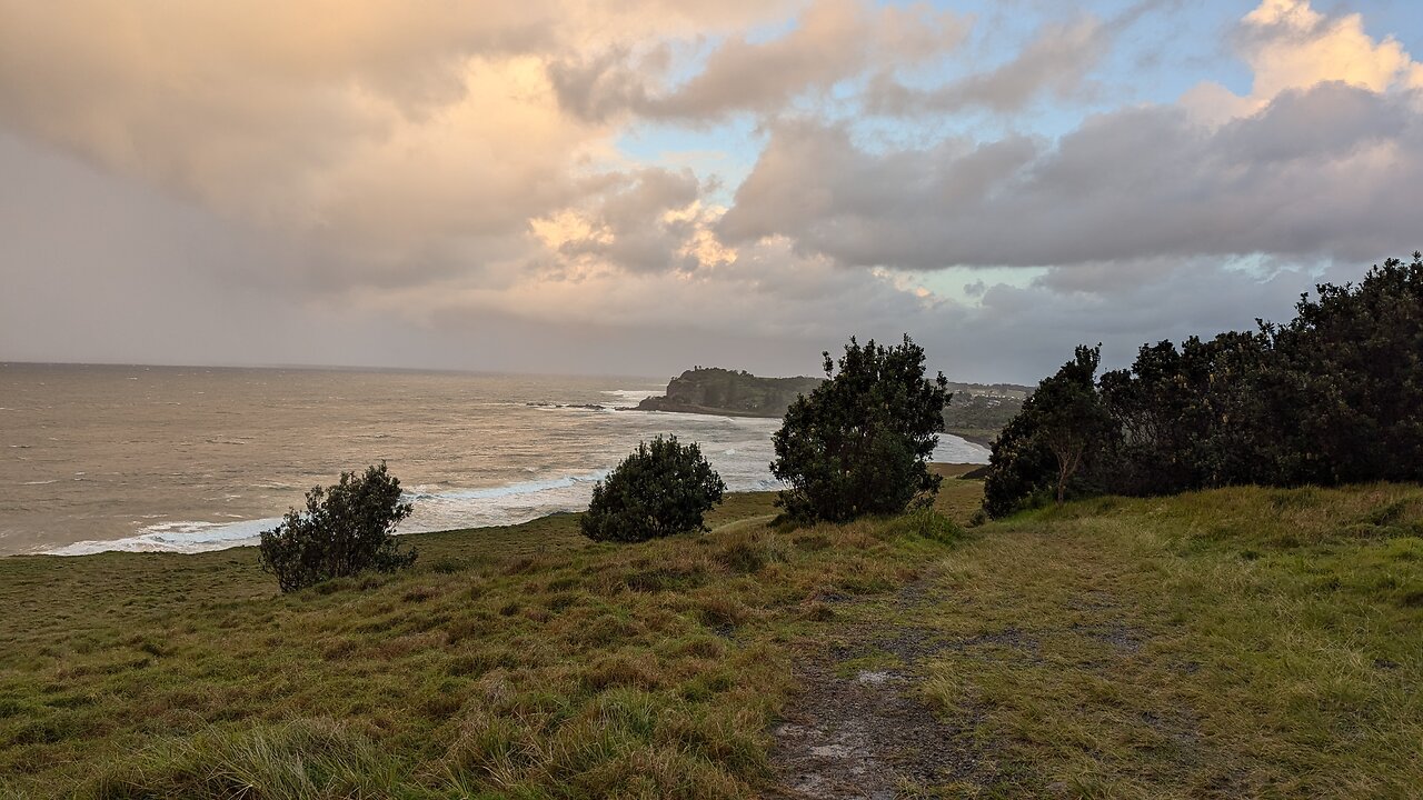 An Axial Wraith at Lennox Head NSW