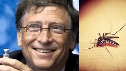 Bill Gates, WHO and Malaria vaccine