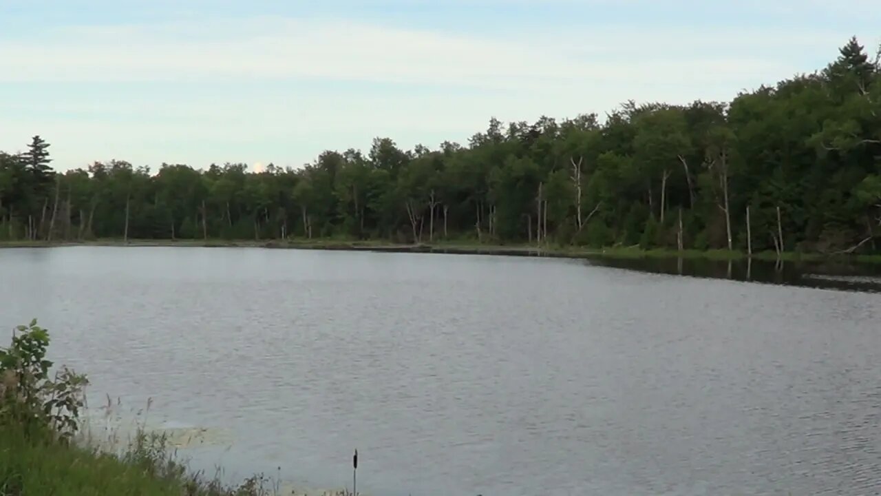 North Pond On Graphite, In Hague, NY, Facing East