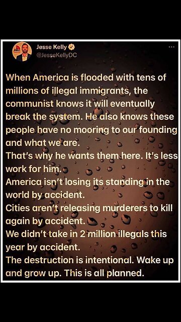 these are not illegal immigrants they are united nations soldiers when next scare pandemic kick in