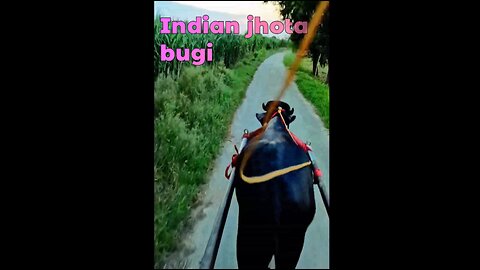 Indian jhota bugi ❓#001