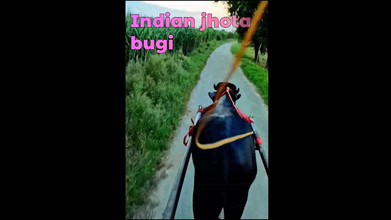 Indian jhota bugi ❓#001