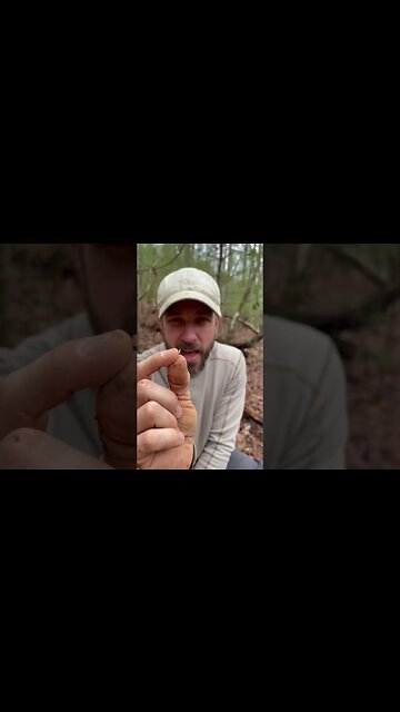 Survivalist Feeds Young Children Termites