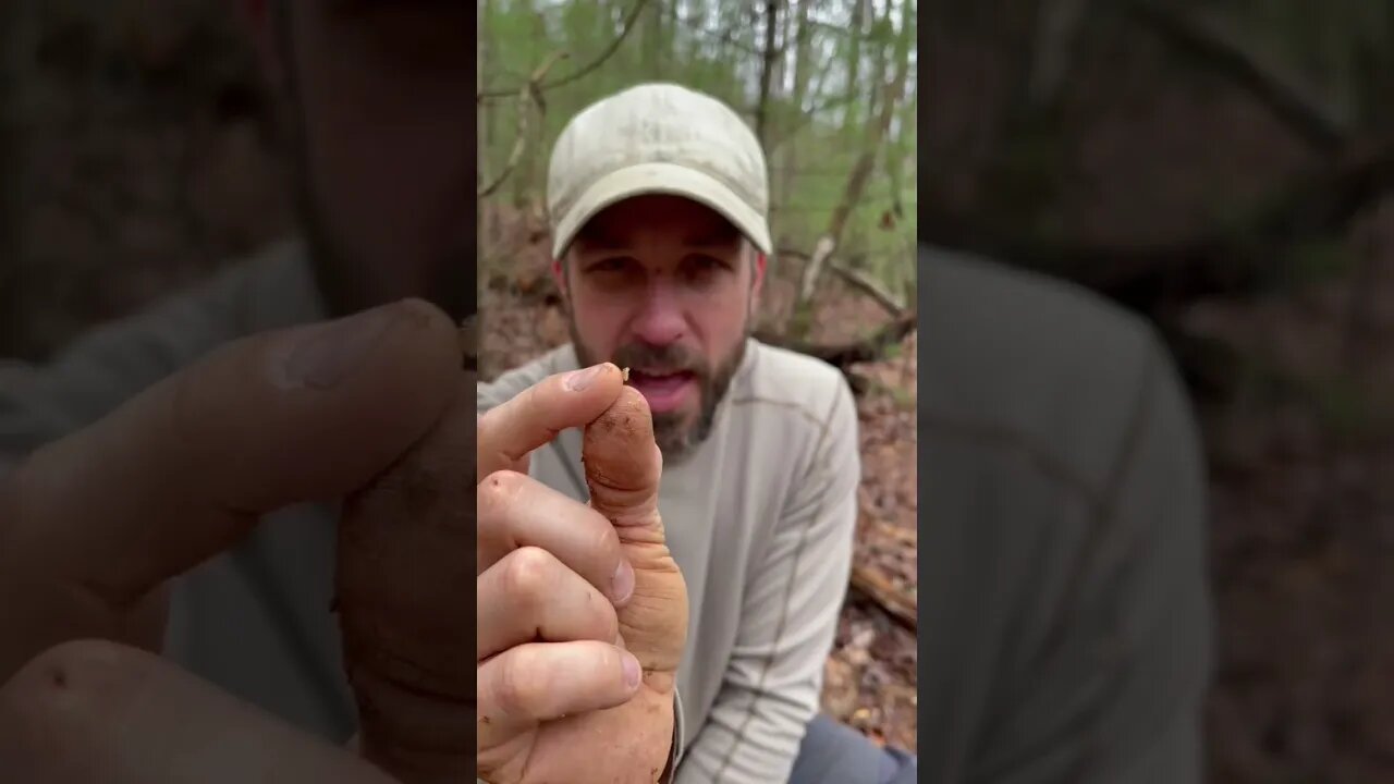 Survivalist Feeds Young Children Termites