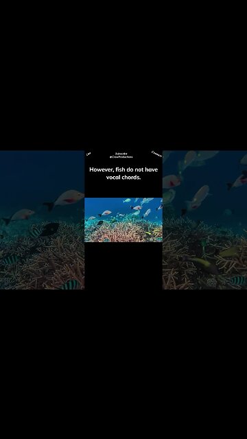 Fish use a variety of low-pitched sounds to convey messages to each other #fish #shorts