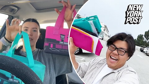 Trader Joe's new mini insulated cooler bags already going viral