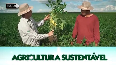 Agricultura Sustentável - com Frederico Olivi