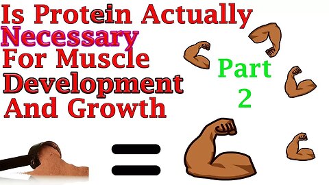 Is Protein Necessary For Muscle Growth (Part 2)